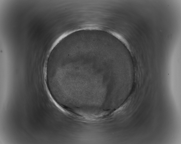 X0000086281383200704191937