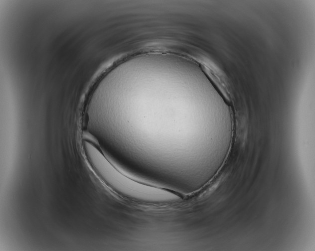 X0000086281384200704191937