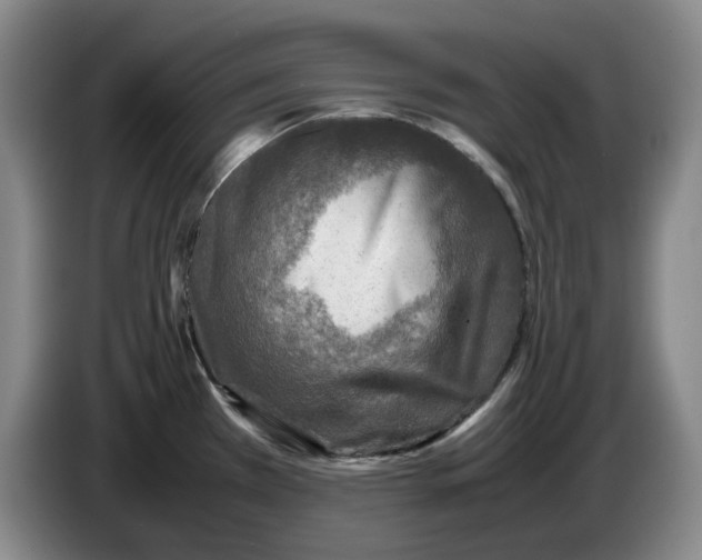 X0000086281385200704191937