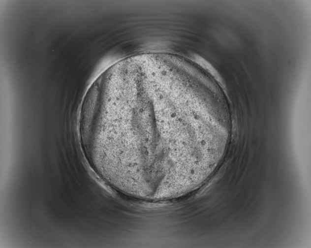 X0000086281386200704191937