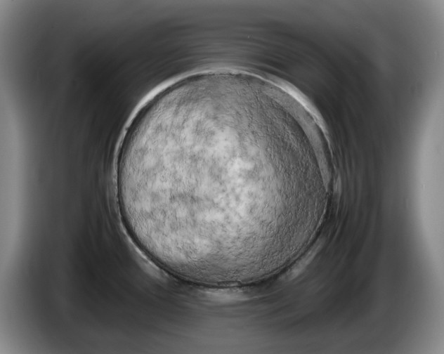 X0000086281388200704191937