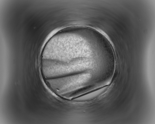 X0000086281389200704191937