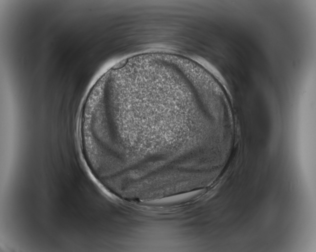 X0000086281391200704191937