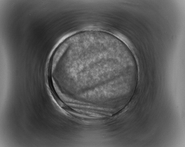 X0000086281392200704191937