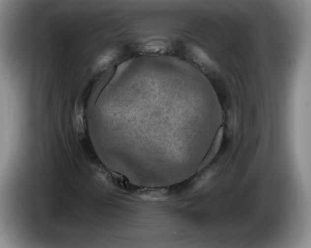 X0000086281394200704191936