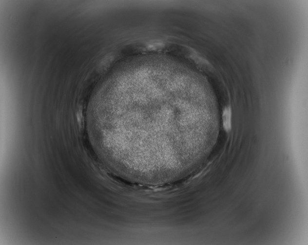 X0000086281395200704191936