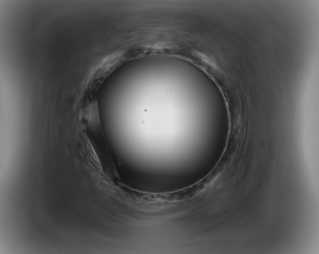 X0000086281398200704191936