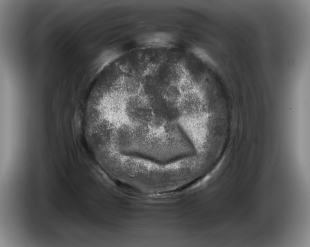 X0000086281401200704191936