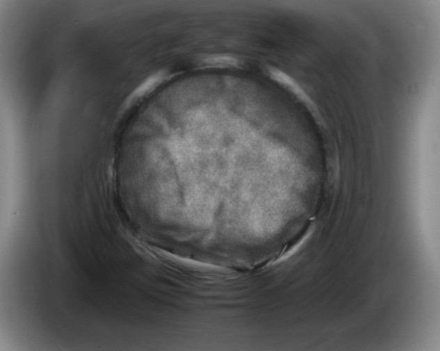 X0000086281403200704191936