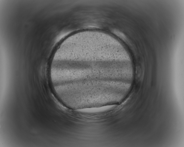 X0000086281404200704191936