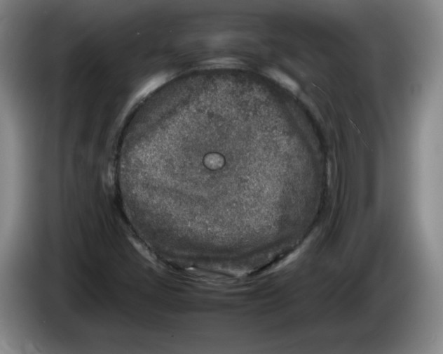 X0000086281405200704191936