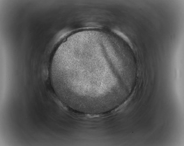 X0000086281407200704191936