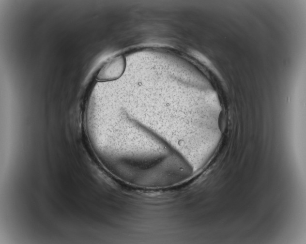 X0000086281408200704191936