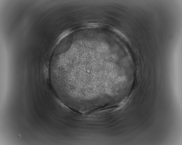 X0000086281409200704191936