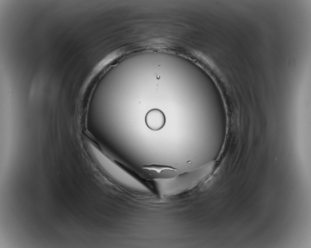 X0000086281410200704191936