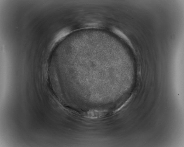 X0000086281411200704191936