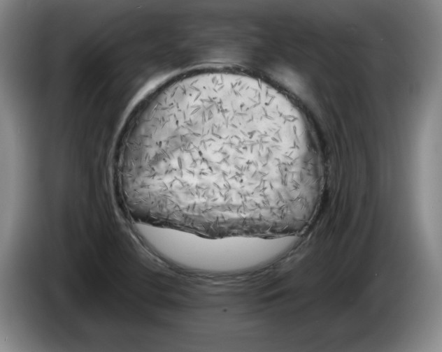 X0000086281412200704191936