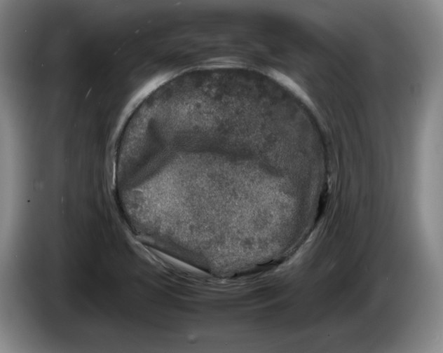 X0000086281413200704191936