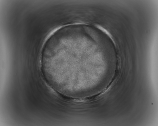 X0000086281415200704191936