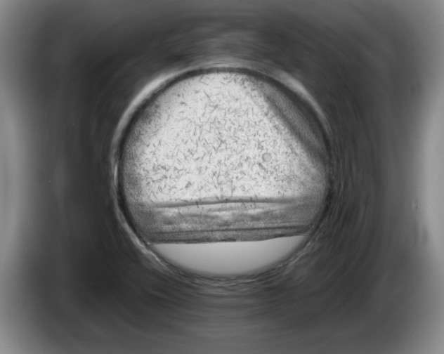 X0000086281416200704191936