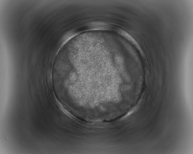 X0000086281417200704191936