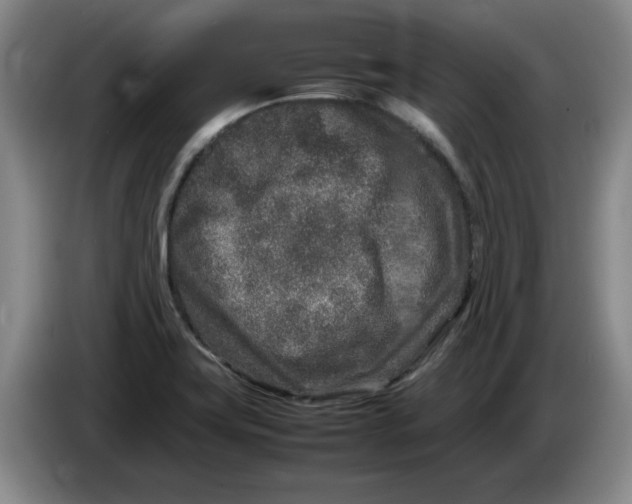 X0000086281419200704191936