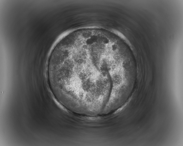 X0000086281421200704191936