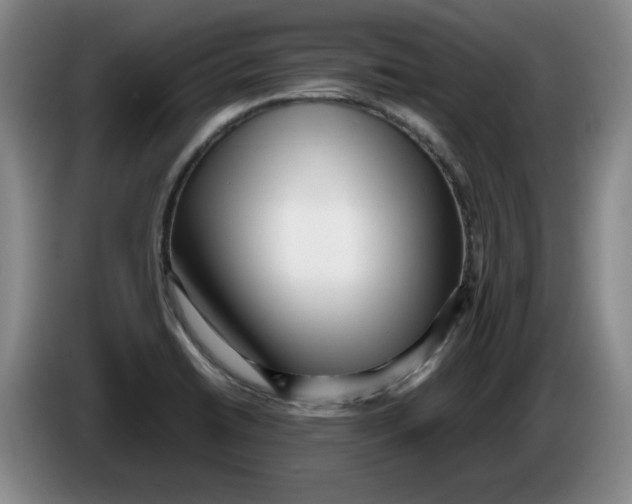 X0000086281422200704191936