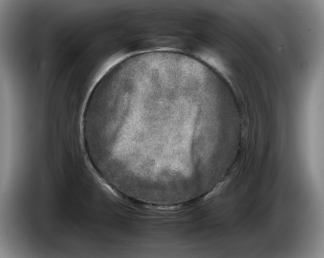 X0000086281423200704191936