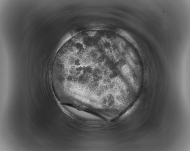 X0000086281425200704191936