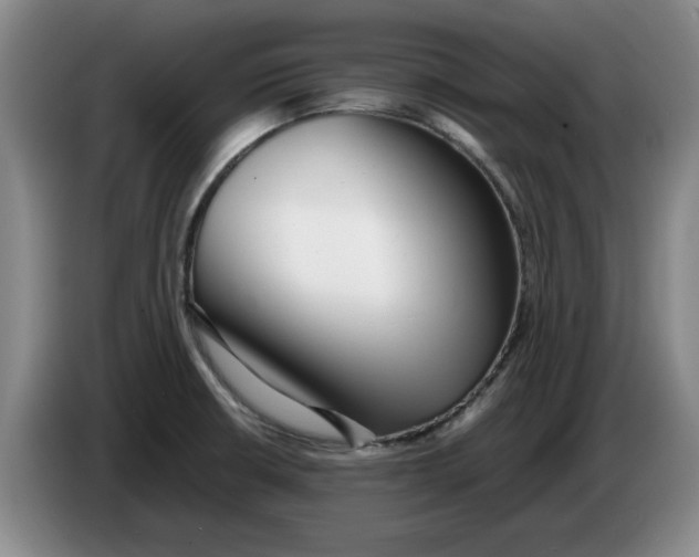 X0000086281426200704191936