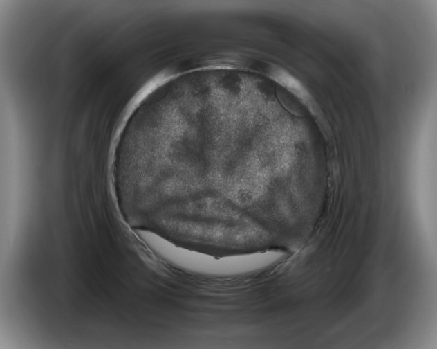 X0000086281427200704191937