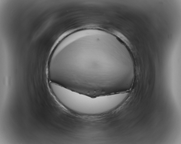 X0000086281428200704191937