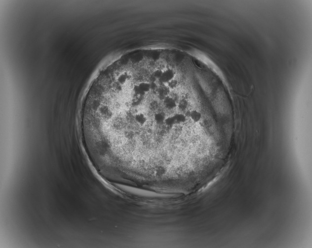 X0000086281429200704191937