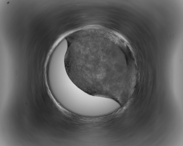 X0000086281430200704191937