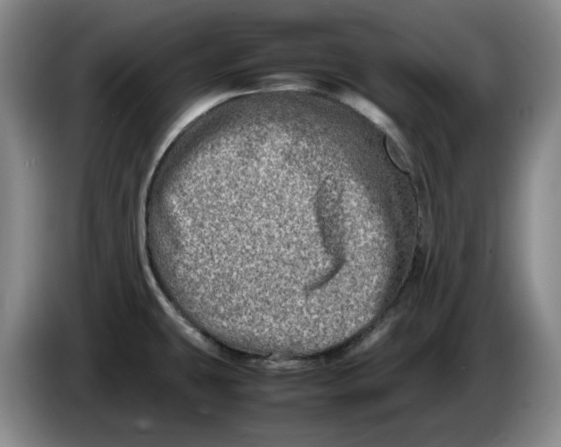 X0000086281431200704191937