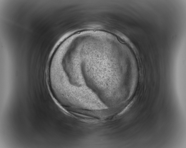 X0000086281432200704191937