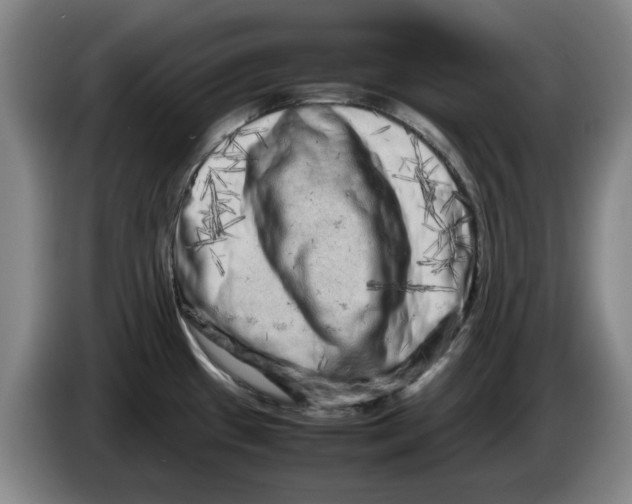 X0000086281433200704191937