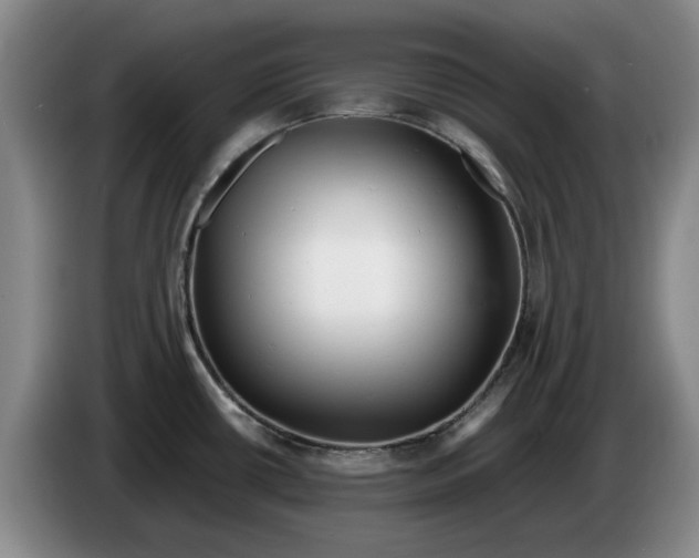 X0000086281434200704191937