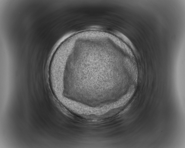 X0000086281435200704191937