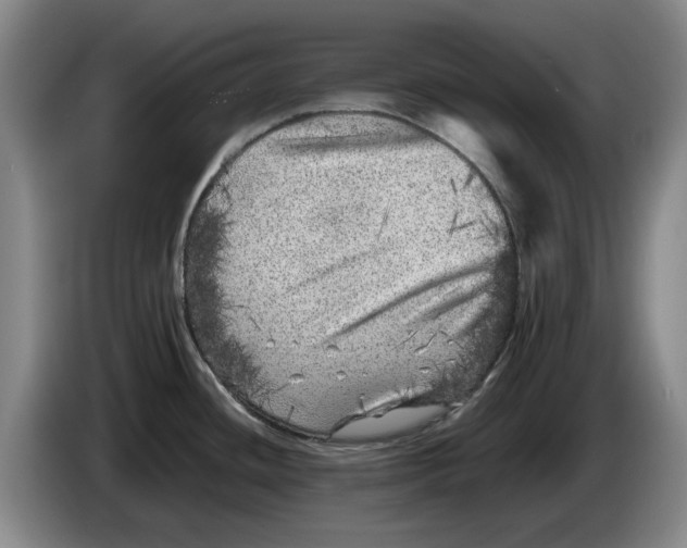 X0000086281436200704191937