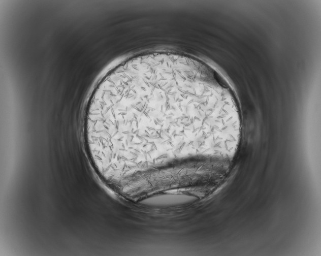 X0000086281437200704191937