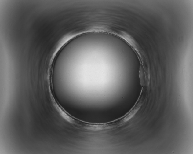 X0000086281438200704191937