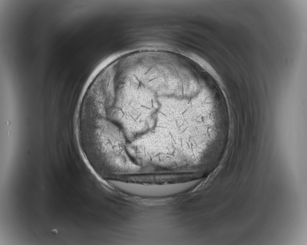 X0000086281440200704191937