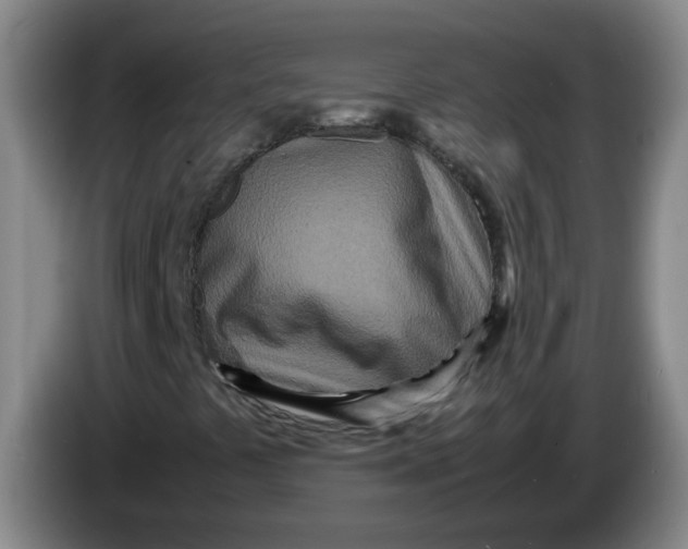 X0000086281441200704191936