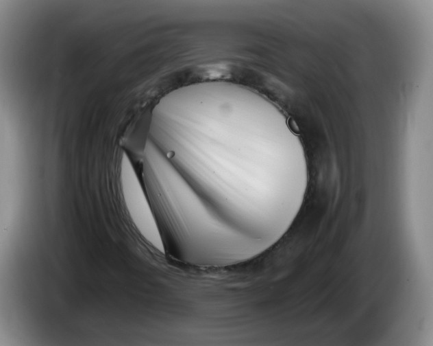 X0000086281442200704191936