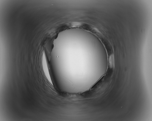 X0000086281443200704191936