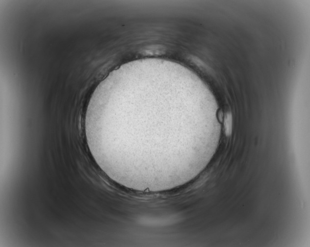 X0000086281444200704191936