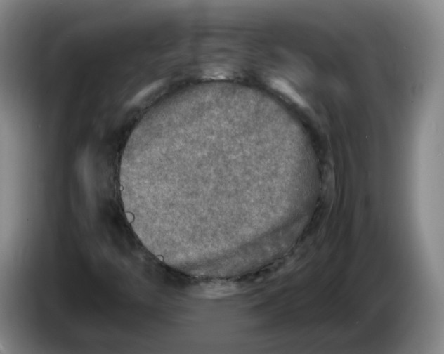 X0000086281446200704191936