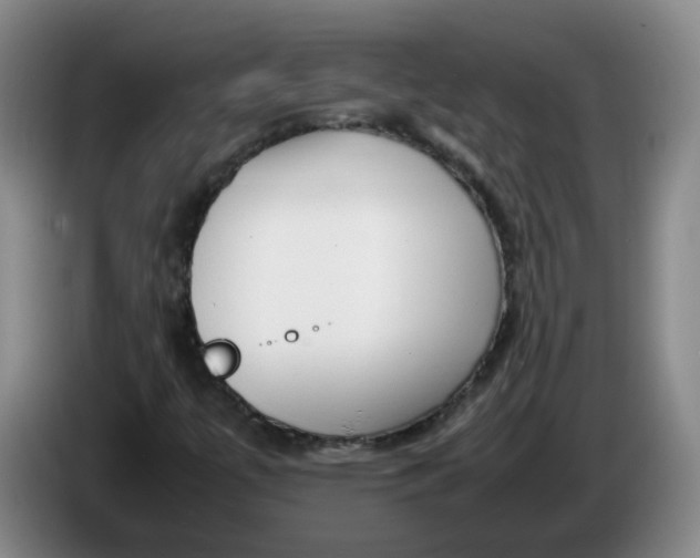 X0000086281447200704191936